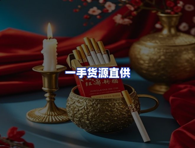 专业团队